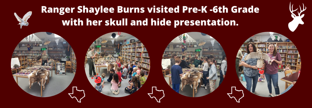 Ranger Shaylee Burns visited Pre-K -6th Grade  with her skull and hide presentation.